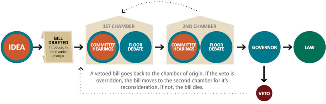 Flowchart of the Legislative Process