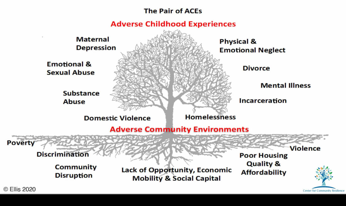 The Pair of ACES: Adverse Childhood Experiences & Adverse Community Environments