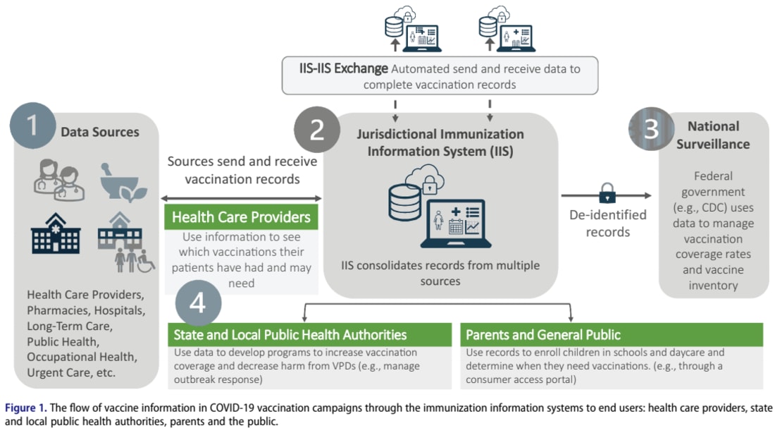 Figure 1: The Role of Immunization Information Systems in Data Consolidation
