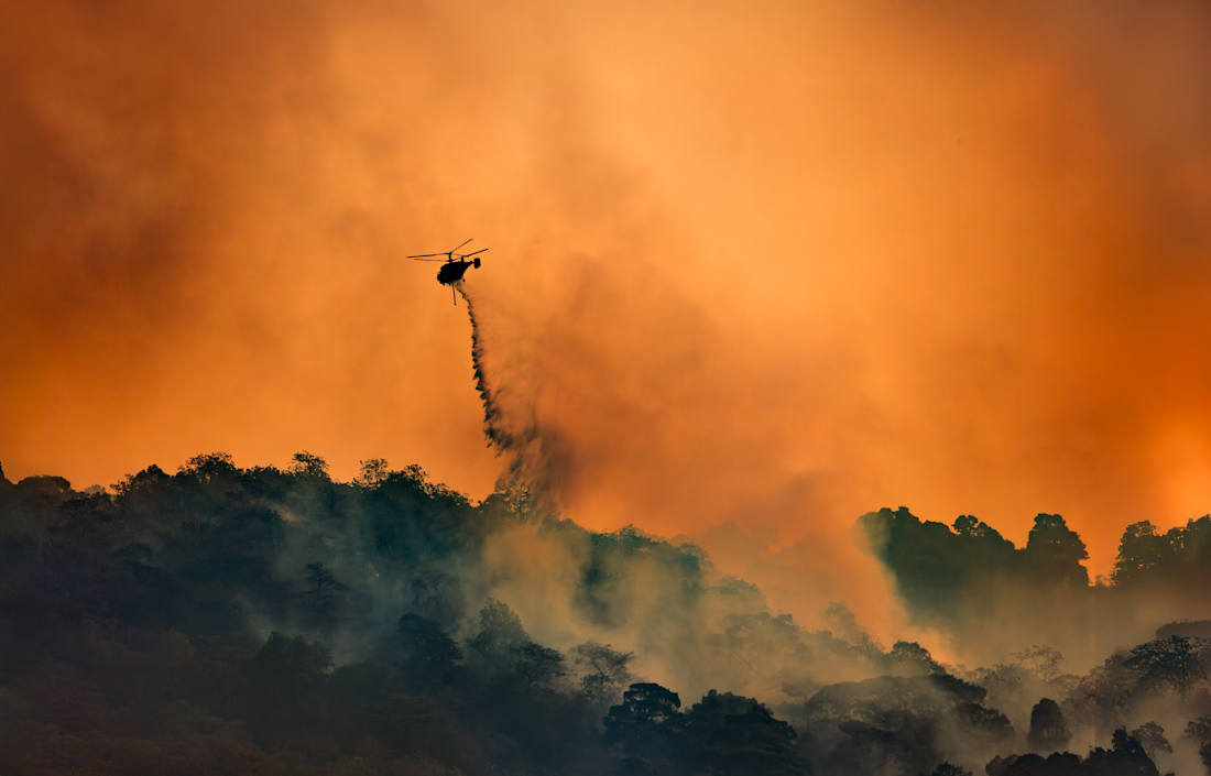 wildfire