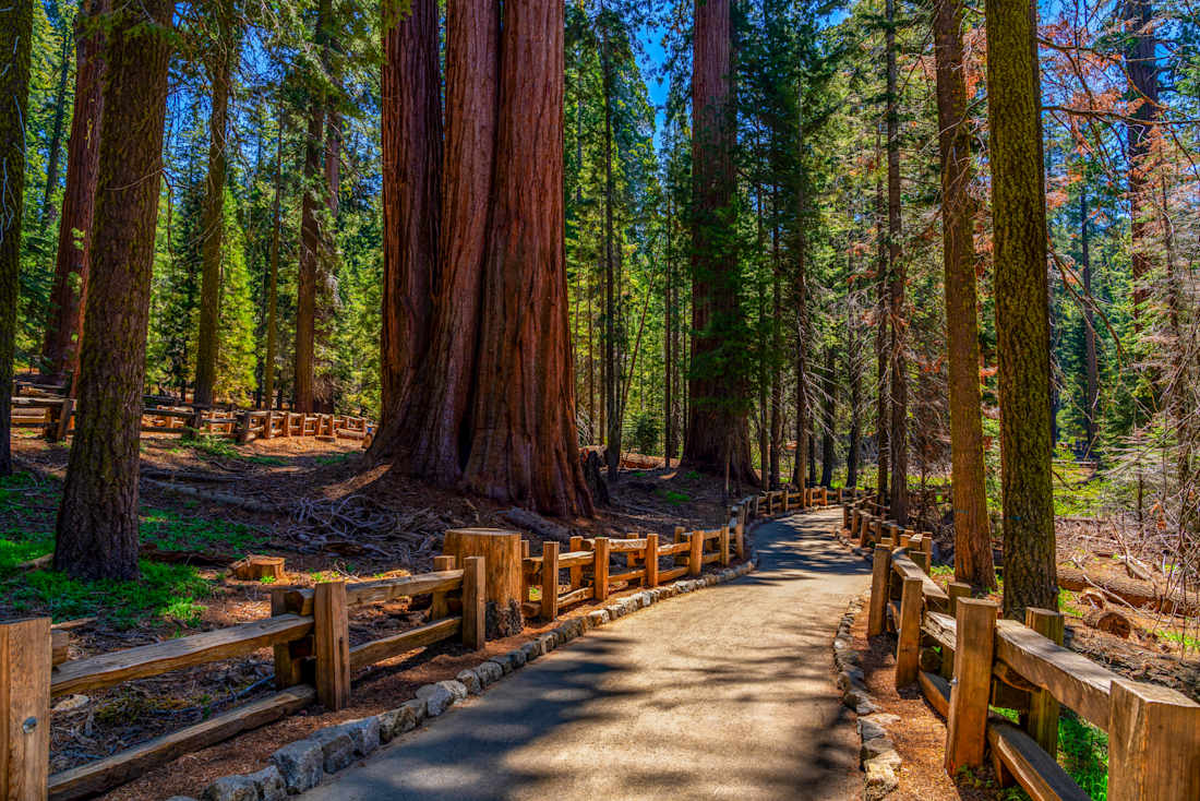 national park