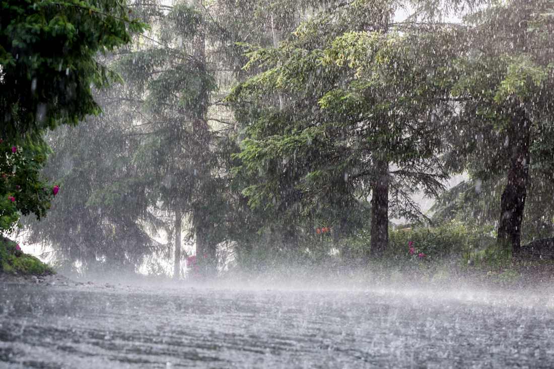 rain storm
