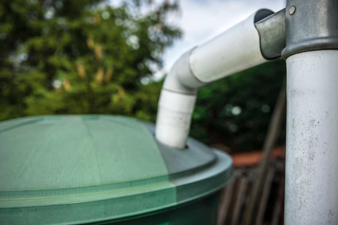 catching rainwater to large can