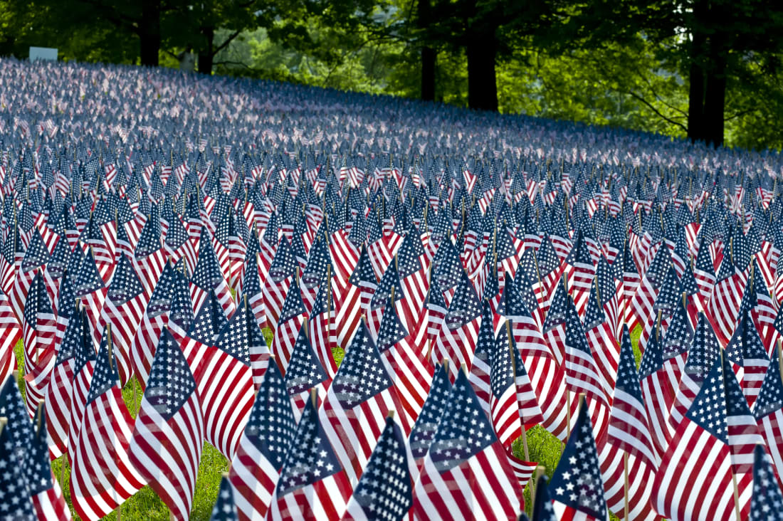 Field of US flags for Memorial Day
