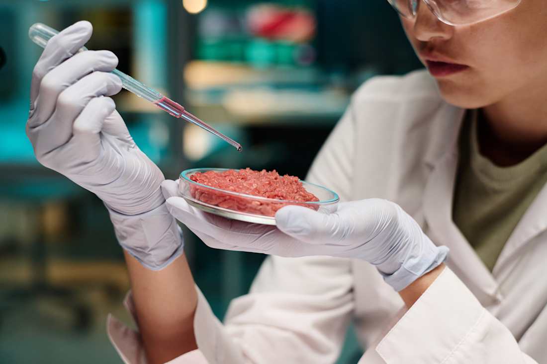 Will States Take Lab-Grown Meat off the Table?