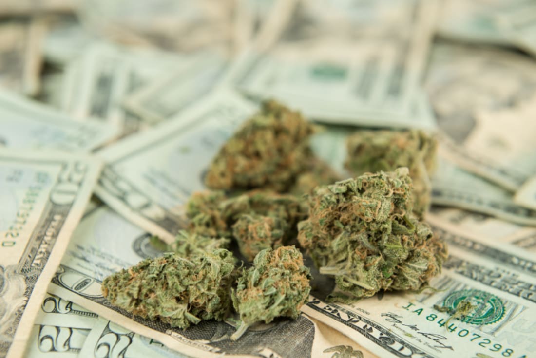 Marijuana lying on twenty dollar bills