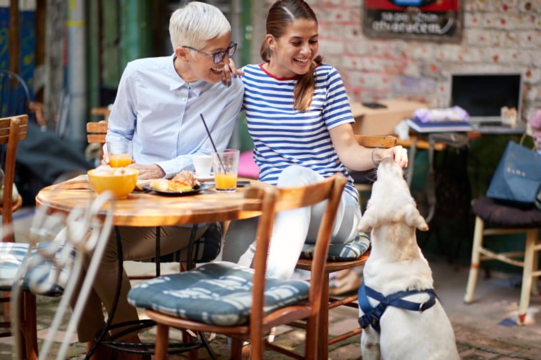 dog on restaurant patio with diners