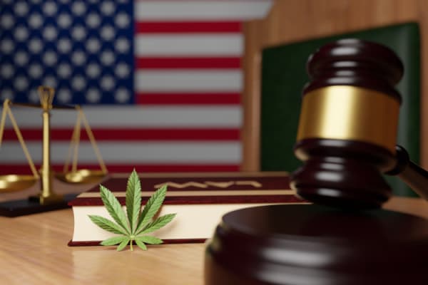 Gavel, scales of justice, cannabis leaf on desk of a judge