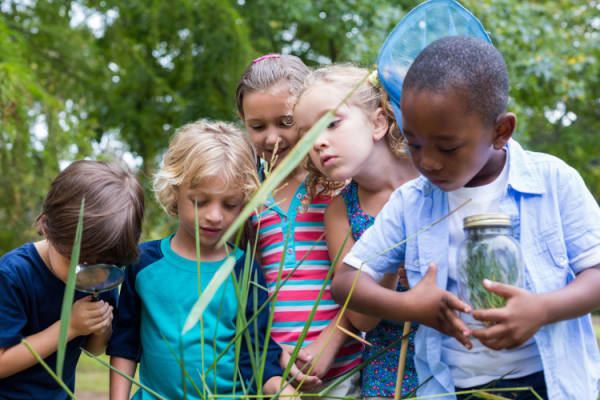 Interest On Child Support Arrears