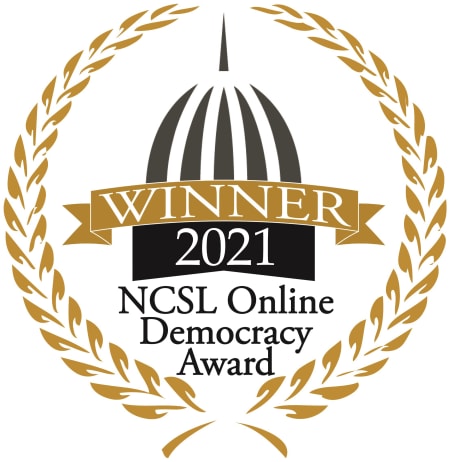 2021 Online Democracy Award