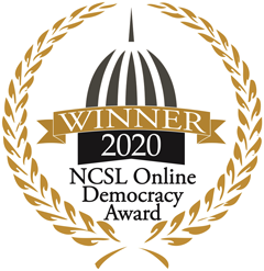 2020 Online Democracy Award