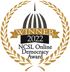 2022 Online Democracy Award