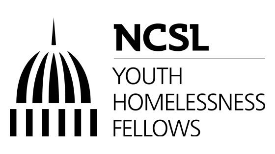 Youth Homelessness Fellows Program