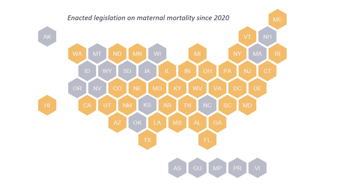 enacted legislation on maternal mortality since 2020 map