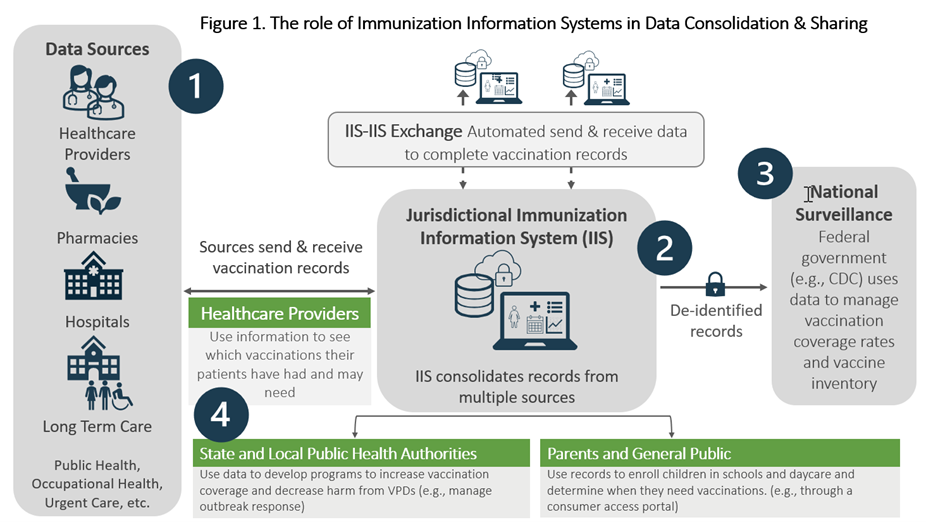 role of immunization information systems in data consolidation and sharing chart
